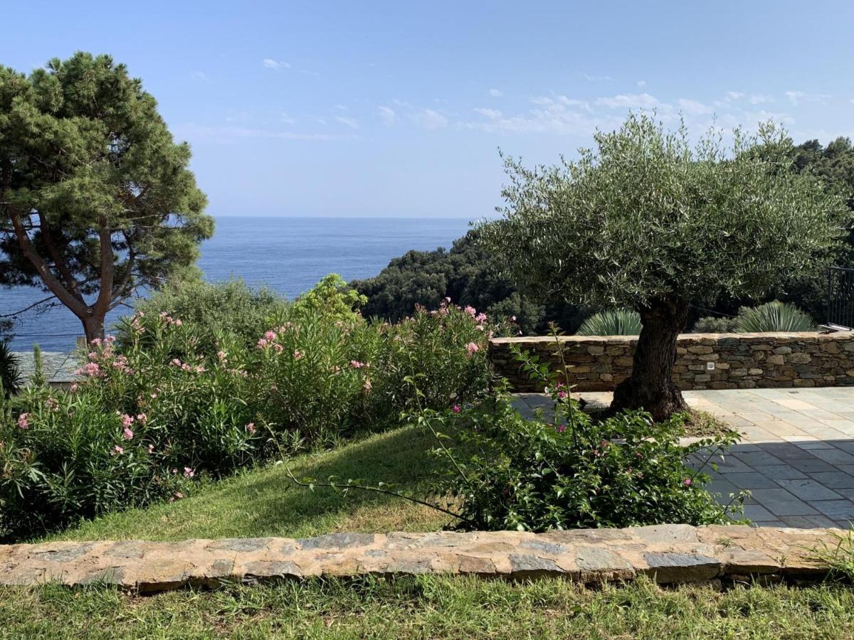 Villa Prestige U Scogliu- Erbalunga Brando Exterior photo