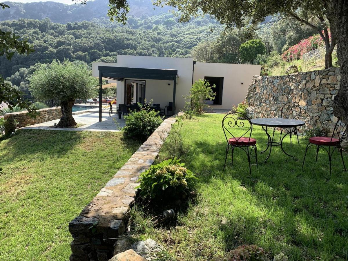 Villa Prestige U Scogliu- Erbalunga Brando Exterior photo